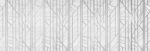 dw15slt15.jpg