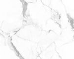 callacata-endless-_1_.jpg