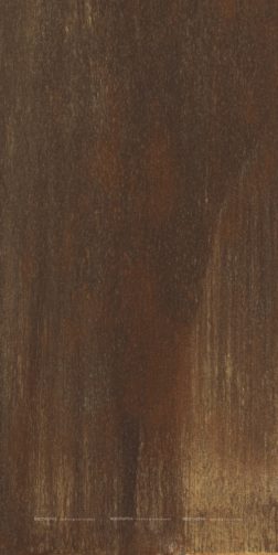 117ce13e0470ccb9ad20ab325fa57183.jpg