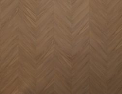 3d25620d53964a9feb4424114c760710.jpeg